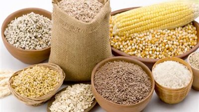 أسعار الأعلاف اليوم الأربعاء 28 سبتمبر 2022