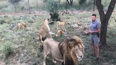 وباء صيني جديد على الأبواب.. بريطانيا تحذر من خطر 