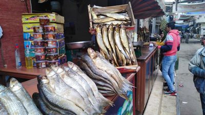 يلا يا حواء هعلمك تعملي الفسيخ بطريقة مهولة