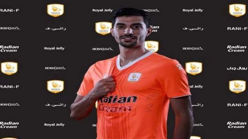 محمود حماده
