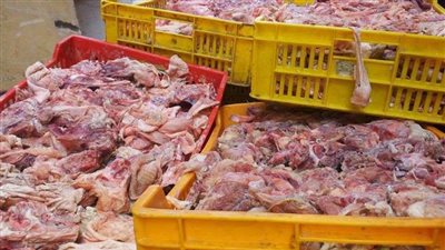 أمن القاهرة يضبط أكثر من 4 طن دواجن غير صالحة للاستهلاك