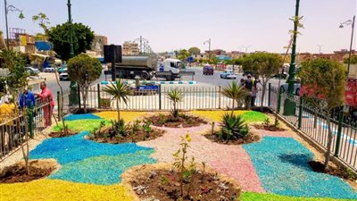 زراعة نباتات الزينة ورفع كفاءة الطريق الدولي بالجزيرة الوسطى بمطروح 