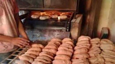 تحرير 396 محضر تمويني بمحافظة المنوفية