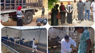 حملات طبية موسعة بمحافظة البحيرة