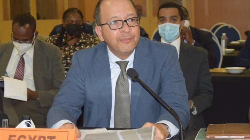 مندوب مصر الدائم