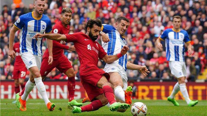 ليفربول وبرايتون