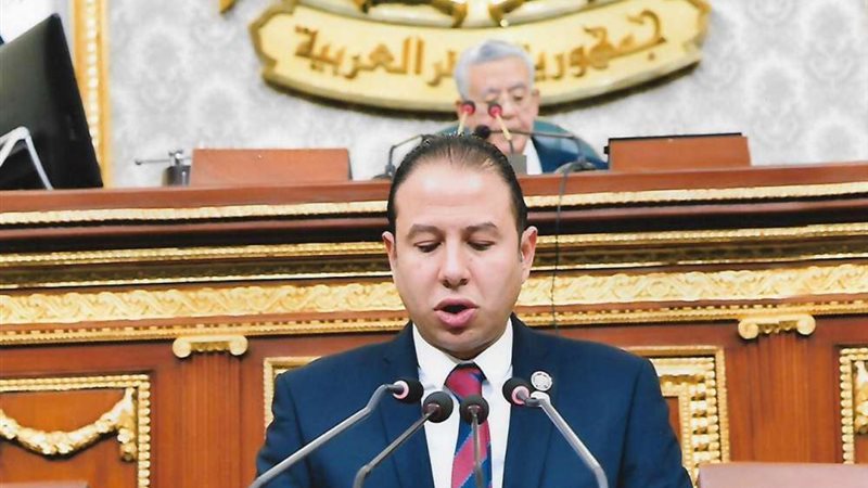 النائب حسن عمار