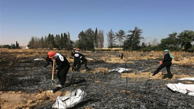 البرازيل تتجاوز حاجز المليون إصابة بكورونا بعد تسجيل رقم صادم في 24 ساعة