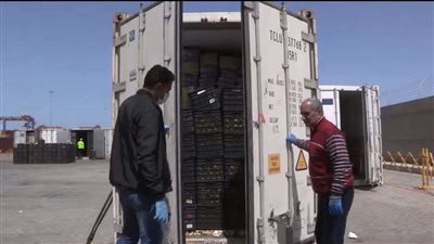 إنجازات أجهزة وزارة الداخلية في شهر (فيديو)