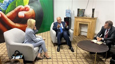 نشاط مكثف للخارجية خلال الاجتماع الوزاري التحضيري لمؤتمر COP27 بكينشاسا