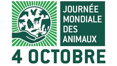 إحياء لـذكرى القديس فرنسيس الأسيزي.. العالم يحتفل باليوم العالمي للحيوان