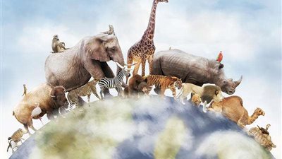 في اليوم العالمي للحيوان.. تعرف على أغربهم بالصور