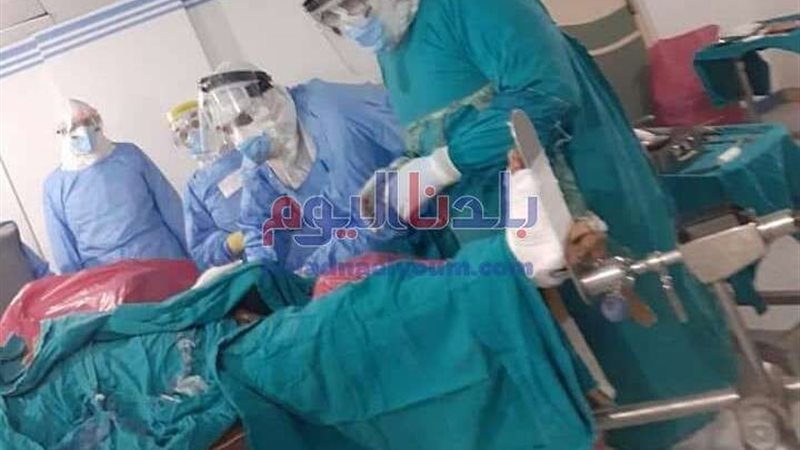 زراعة الأعضاء التناسلية