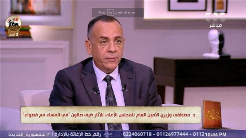 مصطفى وزيري