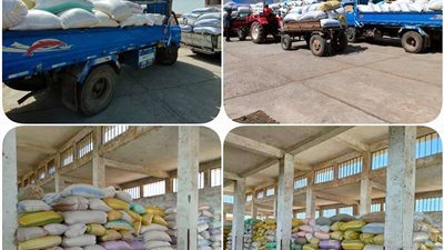 توريد 1074 طن أرز  لشون البحيرة