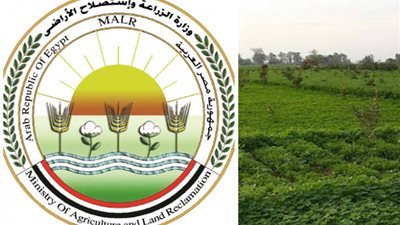 حسن الفولي يتفقد أعمال مديرية الإصلاح الزراعي بمحافظة الغربية