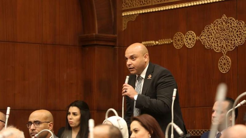 النائب محمود القط