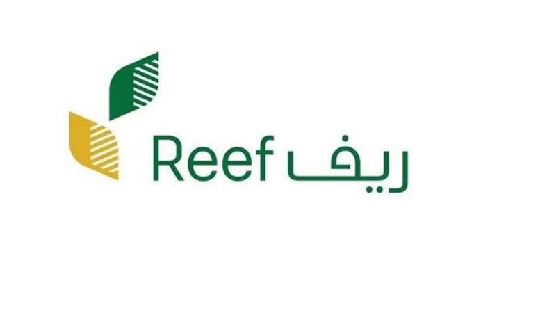 دعم ريف