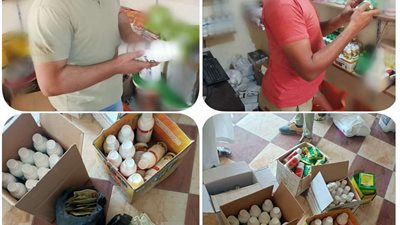 ضبط 8 محلات تدار بدون ترخيص و 194عبوة مبيدات ومخصبات غير مصرح بتداولها