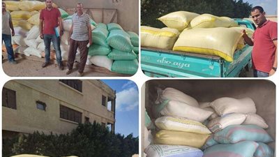 ضبط سيارتين مُحملتين بـ 3 طن أرز محلي في البحيرة