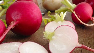 استخدمه الإغريق والرومان كعلاج بديل.. فوائد غير متوقعة للفجل