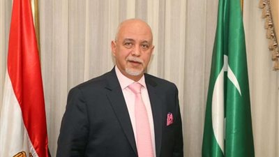 مساعد رئيس الوفد: عودة الحياة الاقتصادية ستخفف العبء عن ملايين المواطنين