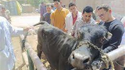 جامعة مدينة السادات تنظم قافلة بيطرية وزراعيه بقرية 