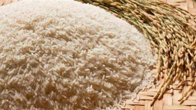 التموين: توريد 15 الف طن أرز شعير بالدقهلية.. وحصاد 75 ٪ من المحصول