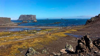 تقارير: الجزئيات البلاستيكية تلوث النظام البيئي في القطب الجنوبي