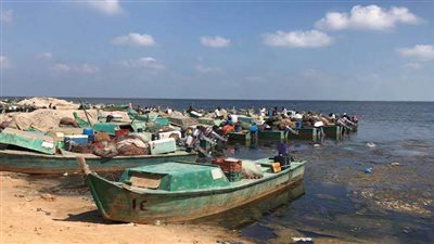 سمير فرج : بحيرة البردويل من أفضل 5 بحيرات في العالم