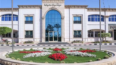 ميناء دمياط يستقبل 11 سفينة متنوعة خلال 24 ساعة