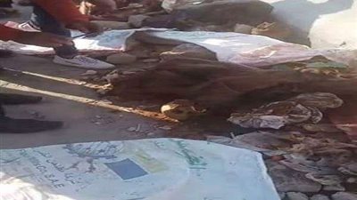 قتلها وخد عزاها.. تفاصيل صادمة بواقعة العثور على جثه فتاة بترعة القليوبية