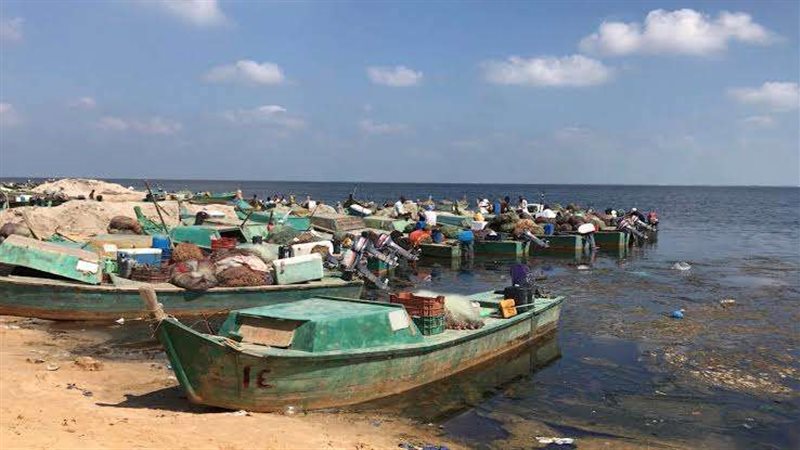بحيرة البردويل