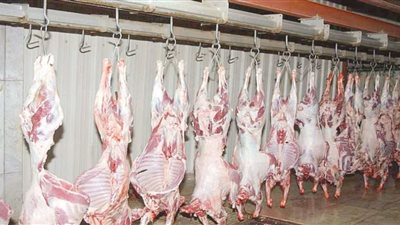 التموين تطرح لحوما طازجة ومدعمة.. تعرف على الأسعار والأماكن