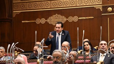 رفع الجلسة العامة لمجلس الشيوخ