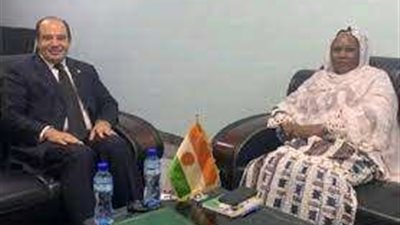 السفير المصري يلتقى وزيرة البيئة النيجيرية لتنسيق المشاركة فى Cop27
