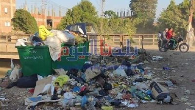 القمامة تحاصر قرية المقاطع بالمنوفية رغم أزمة كورونا.. صور