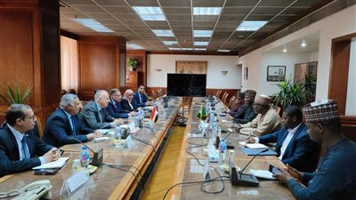 سويلم: مصر حريصة على دعم التنمية بكافة الدول الأفريقية