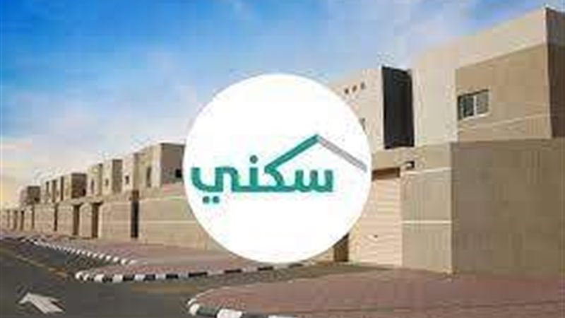 الإسكان التنموي
