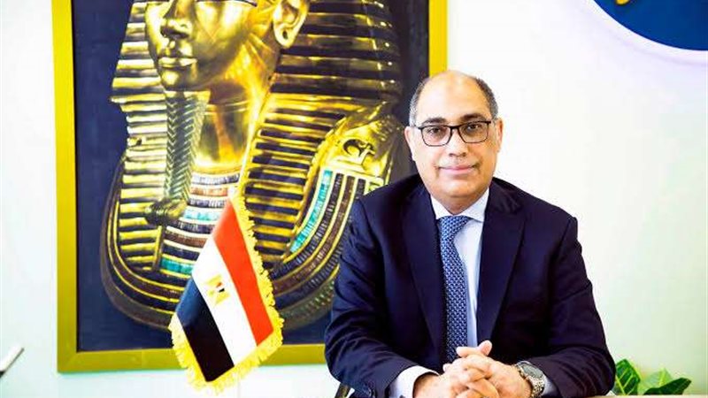 عمرو القاضي رئيس