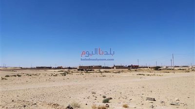 إنشاء وتوزيع 115 بيتًا بدويًا وسط سيناء