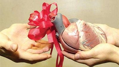 داعية إسلامي: يجوز التبرع بجميع الأعضاء ما عدي التناسلية