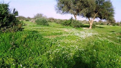 ننشر شروط دخول روضة خريم وأين تقع بالمملكة العربية السعودية