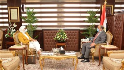 وزيرا التنمية المحلية والصحة والسكان يبحثان احتياجات القطاع الصحي بالمحافظات