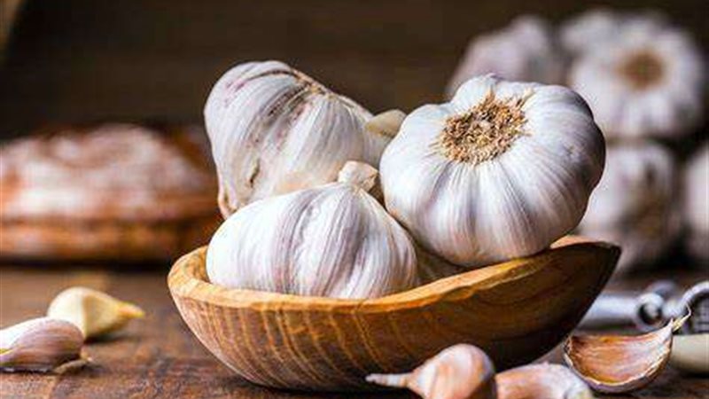 سر ارتباط الثوم ببناء