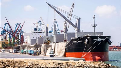 ميناء دمياط يستقبل 31 ألف طن قمح قادمة من روسيا لصالح هيئة السلع التموينية