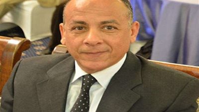 حسم الجدل حول التمثال الفرعوني الذي ظهر بكلمة وزير الخارجية (فيديو)