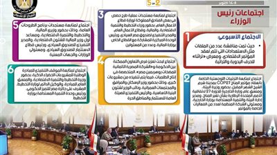 بالإنفوجراف.. الحصاد الأسبوعي لمجلس الوزراء خلال الفترة من 8 حتى 14أكتوبر 2022