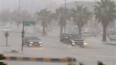 روشة وزارة الصحة للمواطنين للحد من الأمراض فى ظل التقلبات الجوية