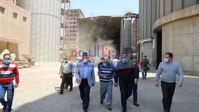 انتهاء موسم توريد المزارعين للقمح بالمنوفية بإجمالي 137 ألف و964 طن